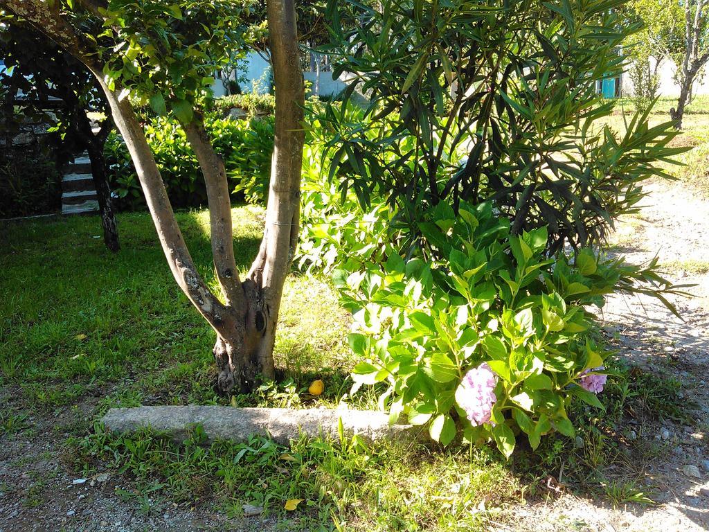 Casa Do Fiscal Villa Barroselas Room photo
